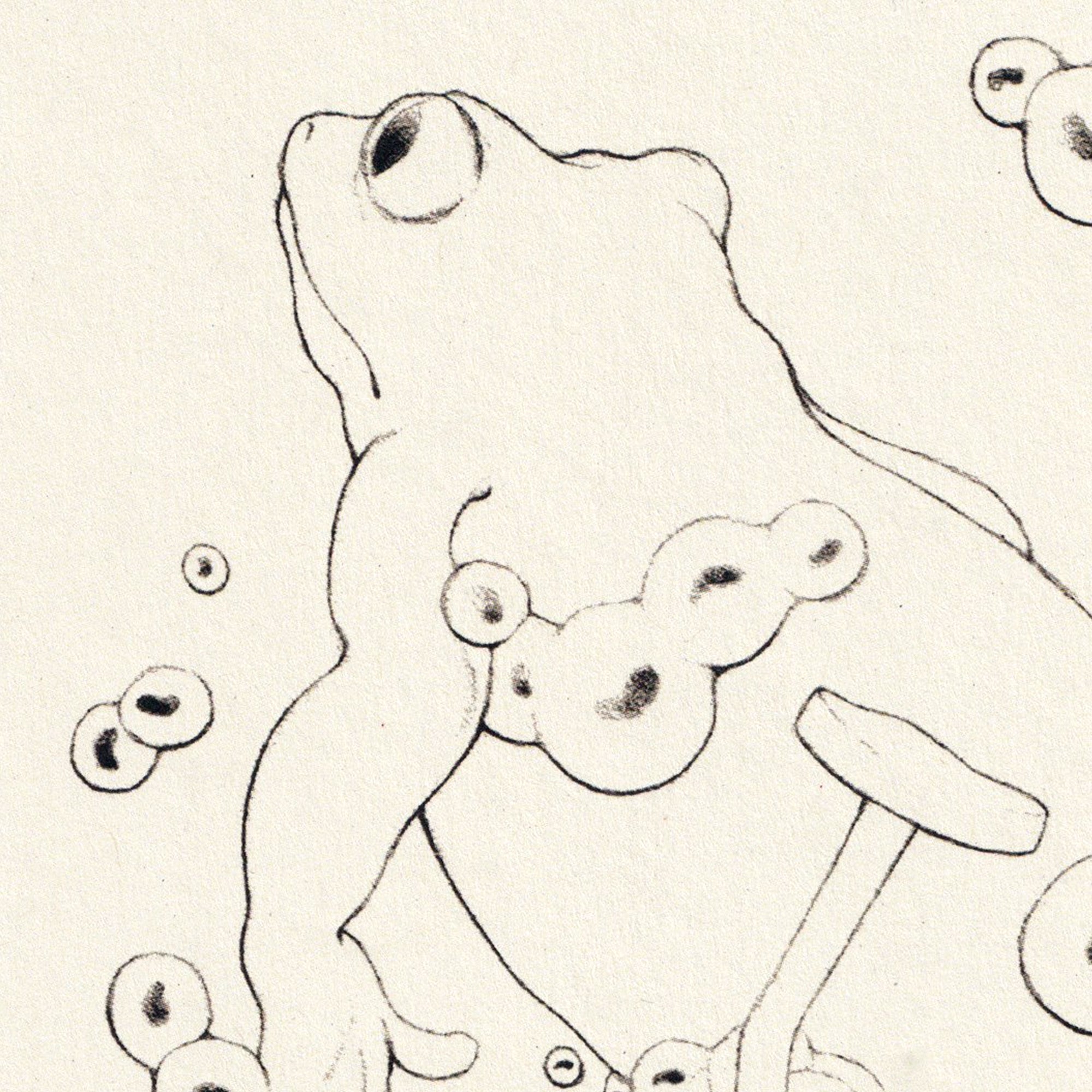 Frosch mit Laich und Nägeln