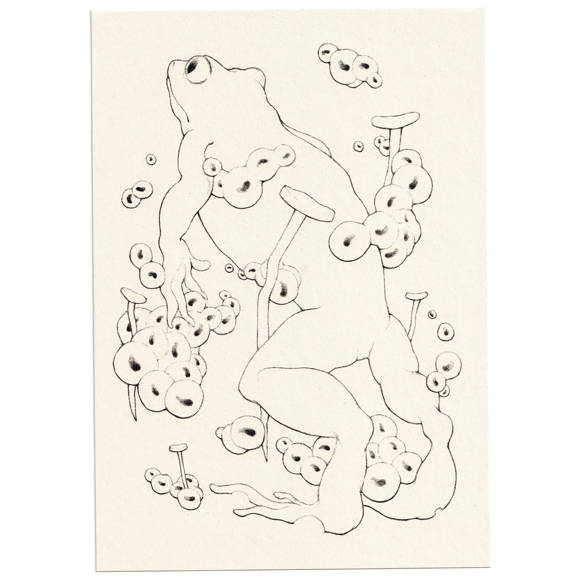 Frosch mit Laich und Nägeln